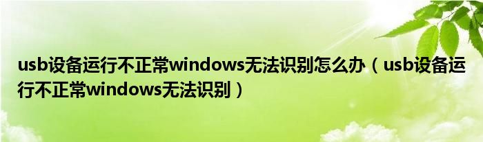 usb设备运行不正常windows无法识别怎么办（usb设备运行不正常windows无法识别）