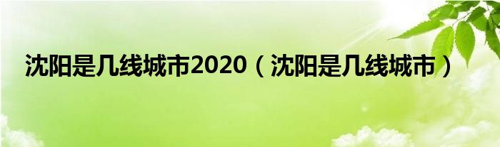 沈阳是几线城市2020（沈阳是几线城市）