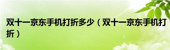 双十一京东手机打折多少（双十一京东手机打折）