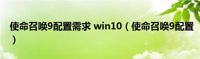 使命召唤9配置需求 win10（使命召唤9配置）