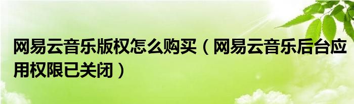 网易云音乐版权怎么购买（网易云音乐后台应用权限已关闭）