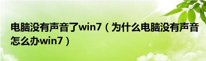 电脑没有声音了win7（为什么电脑没有声音怎么办win7）