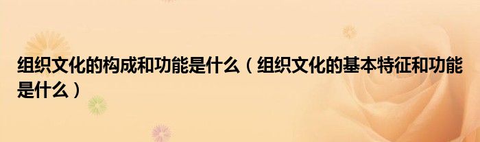 组织文化的构成和功能是什么（组织文化的基本特征和功能是什么）