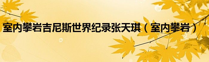 室内攀岩吉尼斯世界纪录张天琪（室内攀岩）