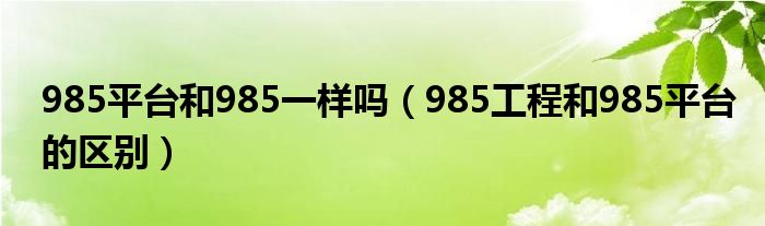 985平台和985一样吗（985工程和985平台的区别）