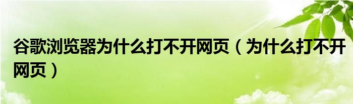 谷歌浏览器为什么打不开网页（为什么打不开网页）