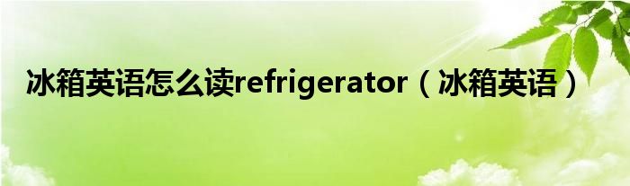 冰箱英语怎么读refrigerator（冰箱英语）