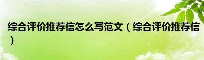 综合评价推荐信怎么写范文（综合评价推荐信）