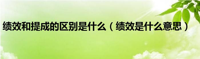 绩效和提成的区别是什么（绩效是什么意思）