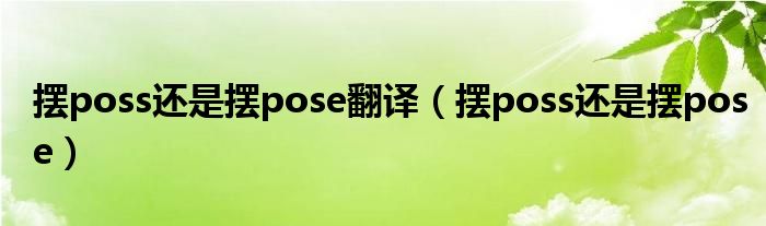 摆poss还是摆pose翻译（摆poss还是摆pose）