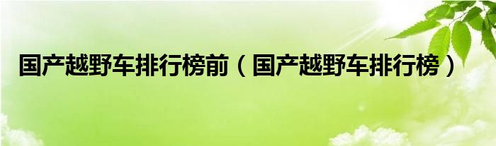 国产越野车排行榜前（国产越野车排行榜）