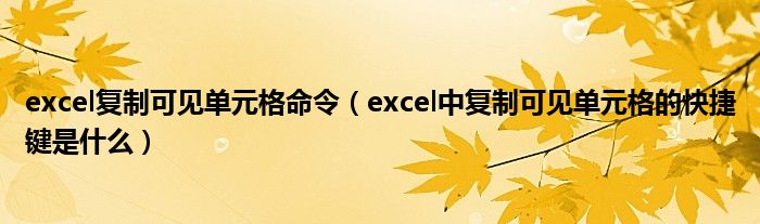 excel复制可见单元格命令（excel中复制可见单元格的快捷键是什么）