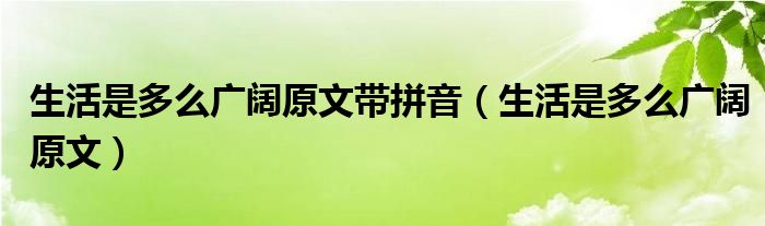 生活是多么广阔原文带拼音（生活是多么广阔原文）