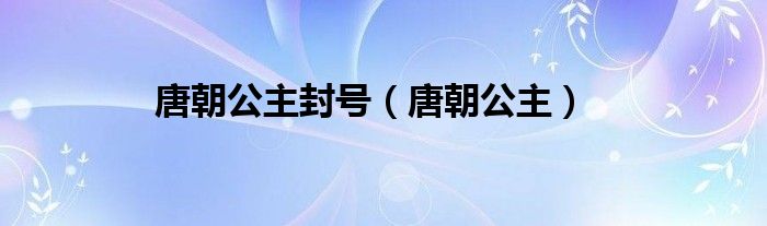 唐朝公主封号（唐朝公主）