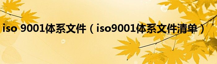 iso 9001体系文件（iso9001体系文件清单）