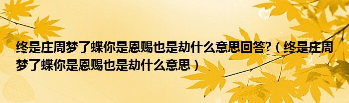 终是庄周梦了蝶你是恩赐也是劫什么意思回答?（终是庄周梦了蝶你是恩赐也是劫什么意思）