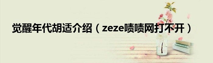 觉醒年代胡适介绍（zeze啧啧网打不开）