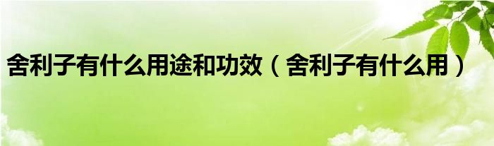 舍利子有什么用途和功效（舍利子有什么用）