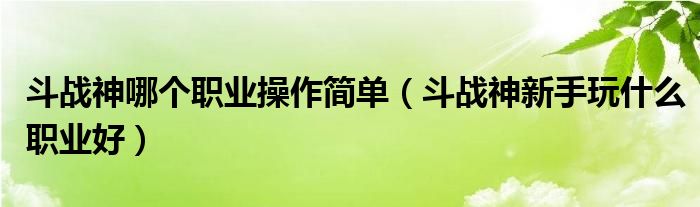 斗战神哪个职业操作简单（斗战神新手玩什么职业好）