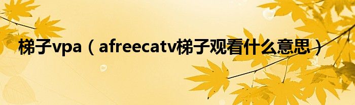 梯子vpa（afreecatv梯子观看什么意思）