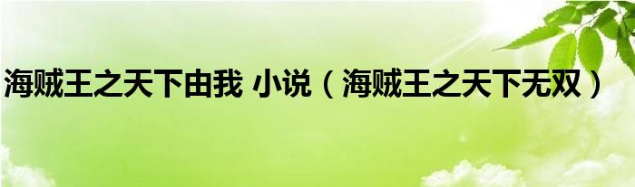 海贼王之天下由我 小说（海贼王之天下无双）