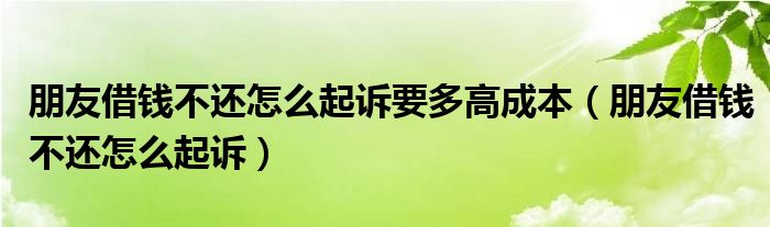 朋友借钱不还怎么起诉要多高成本（朋友借钱不还怎么起诉）