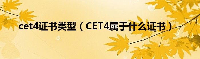 cet4证书类型（CET4属于什么证书）