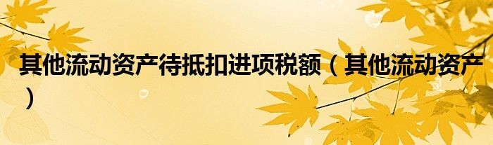 其他流动资产待抵扣进项税额（其他流动资产）