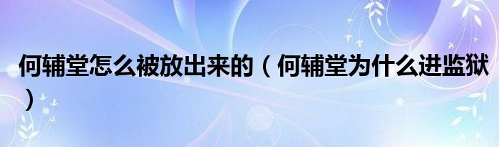 何辅堂怎么被放出来的（何辅堂为什么进监狱）