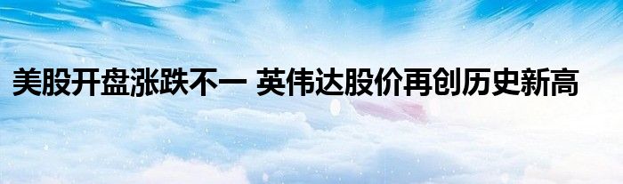 美股开盘涨跌不一 英伟达股价再创历史新高