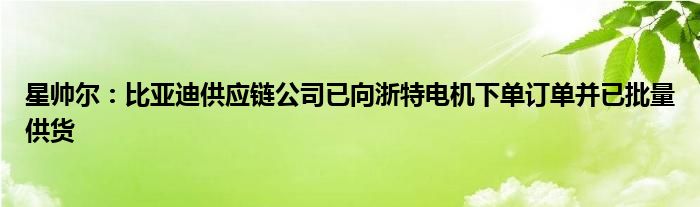 星帅尔：比亚迪供应链公司已向浙特电机下单订单并已批量供货