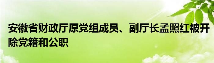 安徽省财政厅原党组成员、副厅长孟照红被开除党籍和公职