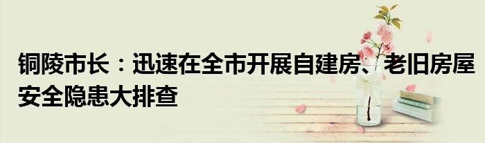 铜陵市长：迅速在全市开展自建房、老旧房屋安全隐患大排查