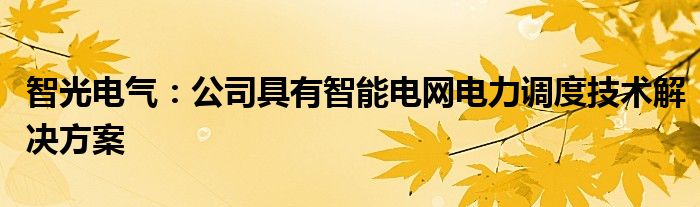 智光电气：公司具有智能电网电力调度技术解决方案