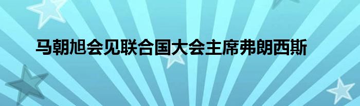 马朝旭会见联合国大会主席弗朗西斯