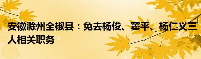 安徽滁州全椒县：免去杨俊、窦平、杨仁义三人相关职务