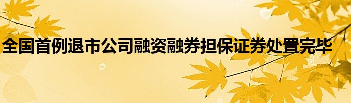 全国首例退市公司融资融券担保证券处置完毕