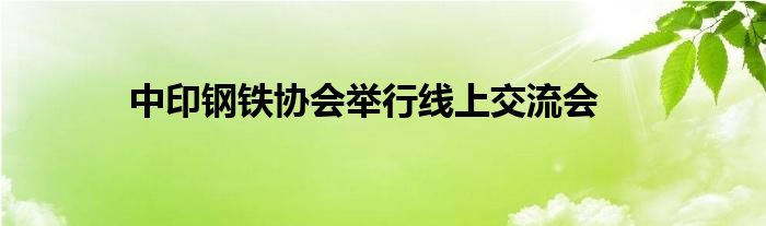 中印钢铁协会举行线上交流会