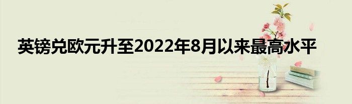 英镑兑欧元升至2022年8月以来最高水平