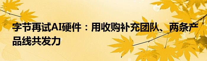 字节再试AI硬件：用收购补充团队、两条产品线共发力