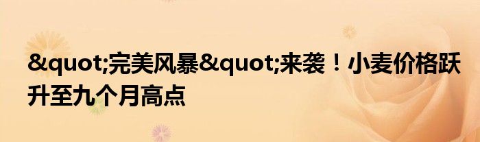 "完美风暴"来袭！小麦价格跃升至九个月高点