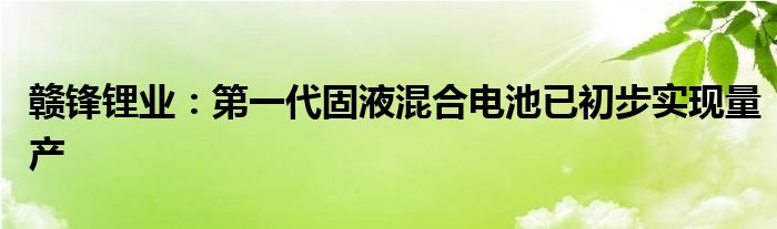 赣锋锂业：第一代固液混合电池已初步实现量产