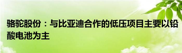 骆驼股份：与比亚迪合作的低压项目主要以铅酸电池为主