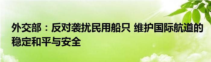 外交部：反对袭扰民用船只 维护国际航道的稳定和平与安全