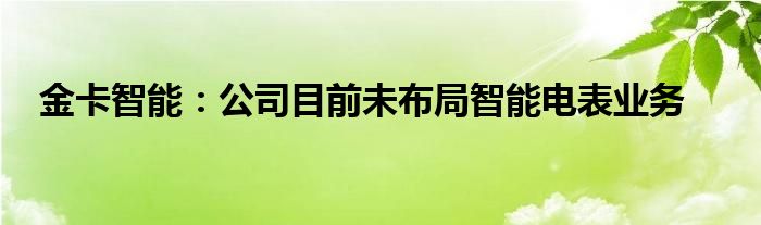 金卡智能：公司目前未布局智能电表业务