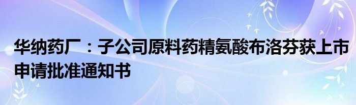 华纳药厂：子公司原料药精氨酸布洛芬获上市申请批准通知书