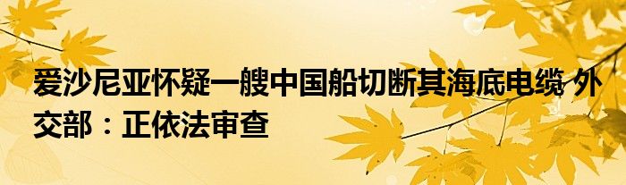 爱沙尼亚怀疑一艘中国船切断其海底电缆 外交部：正依法审查