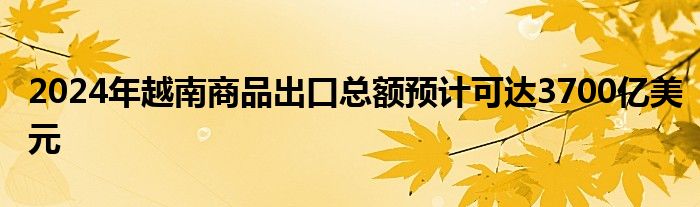 2024年越南商品出口总额预计可达3700亿美元