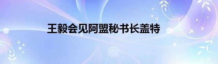 王毅会见阿盟秘书长盖特