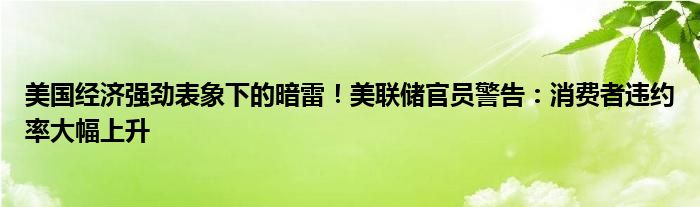 美国经济强劲表象下的暗雷！美联储官员警告：消费者违约率大幅上升